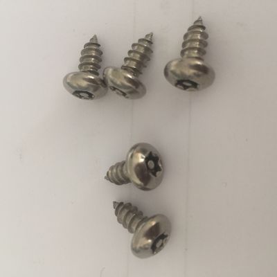 China 18-8 Stainless Steel Torx Rounded Head Screws Pin In Torx Pan Head Safety Screw Stainless Steel Tapping Screws supplier