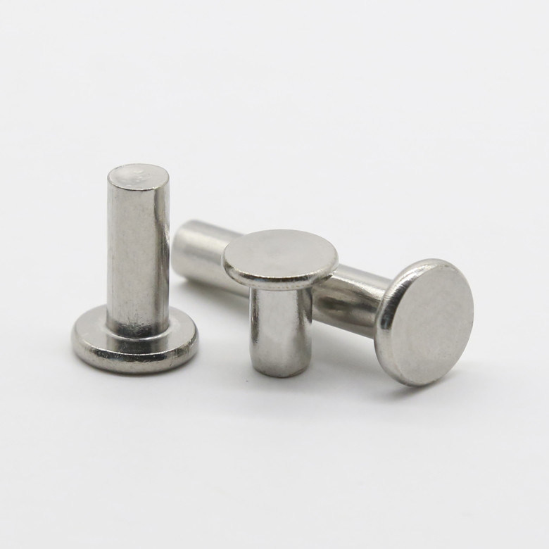 Stainless Steel Flat Truss Head Solid Rivets Thin Head Solid Rivets