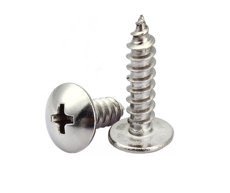 316 Stainless Steel ExtraWide Rounded Head Screws for Sheet Metal