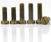 Brass Slotted Drive Fillister Head Machine Screws Brass Fillister Head Machine Screws supplier