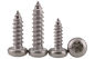 Stainless Steel Torx Drive Pan Head Tapping Screws for Sheet Metal Six-Lobe Drive Pan Head Pointed Screws supplier