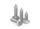 Stainless Steel Pin In Torx Drive Pan Head Self Tapping Screws Tamper-Resistant Torx Rounded Head Screws supplier