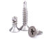 410 Stainless Steel Phillips Drive Countersunk Head Drilling Tapping Screws supplier