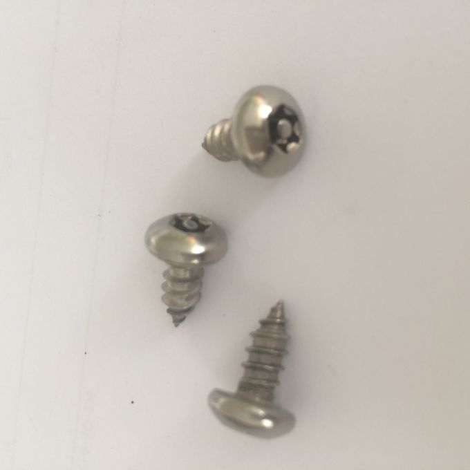 18-8 Stainless Steel Torx Rounded Head Screws Pin In Torx Pan Head Safety Screw Stainless Steel Tapping Screws