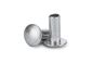 Big Truss Head Semi Tubular Rivet Aluminum Alloy Material TS16949 Approved supplier