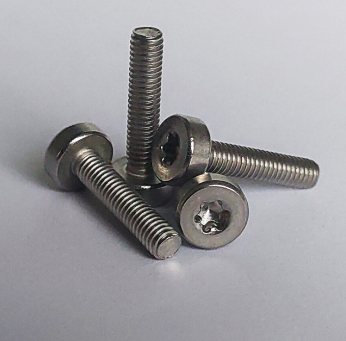 ISO14580 GB2671.1 SS304 Hexagon Socket Bolt Torx Cheese Head Screws