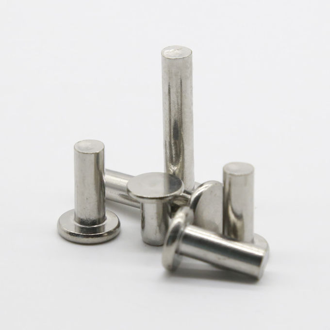 Stainless Steel Flat Truss Head Solid Rivets Thin Head Solid Rivets