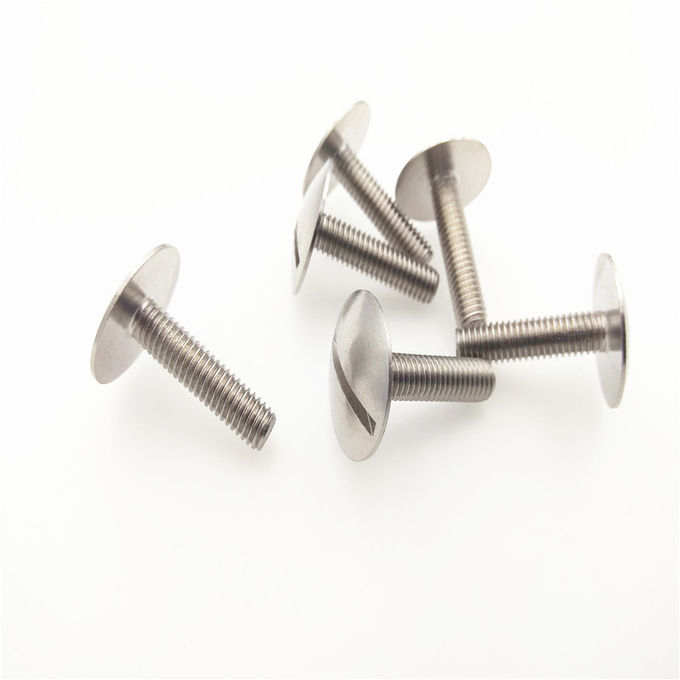 Stainless Steel Extra-Wide Truss Head Slotted Screws GB947 Big Truss Head Slotted Drive Screws ASME B18.6.3 Screw